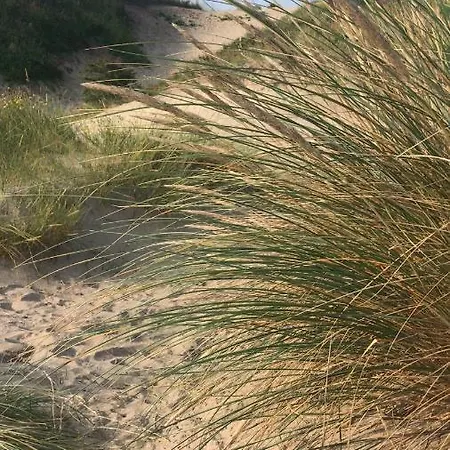 Guest house Pipper Zandvoort
