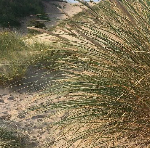 Gæstehus Pipper Zandvoort